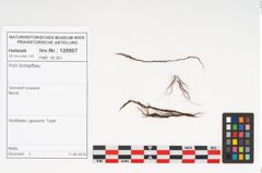 Foto von Textil (NHMW-PRAE-125907)